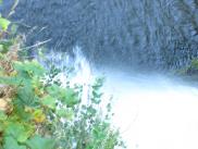 [Looking down on Multnumah Falls]