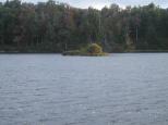 [Mini-island on Lake Jean]