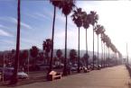 [The beach at La Jolla.]