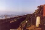 [Torrey pines beach]