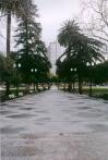 [Plaza de Cesar Chavez Park]