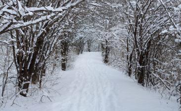 009a-snow_path_Panorama-th.jpg