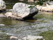 [South Fork Snoqualmie River]