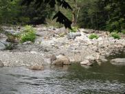 [South Fork Snoqualmie River]