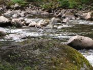 [South Fork Snoqualmie River]