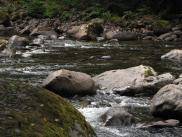 [South Fork Snoqualmie River]