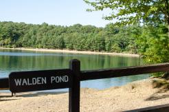 Walden Pond