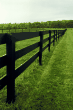 [fence]