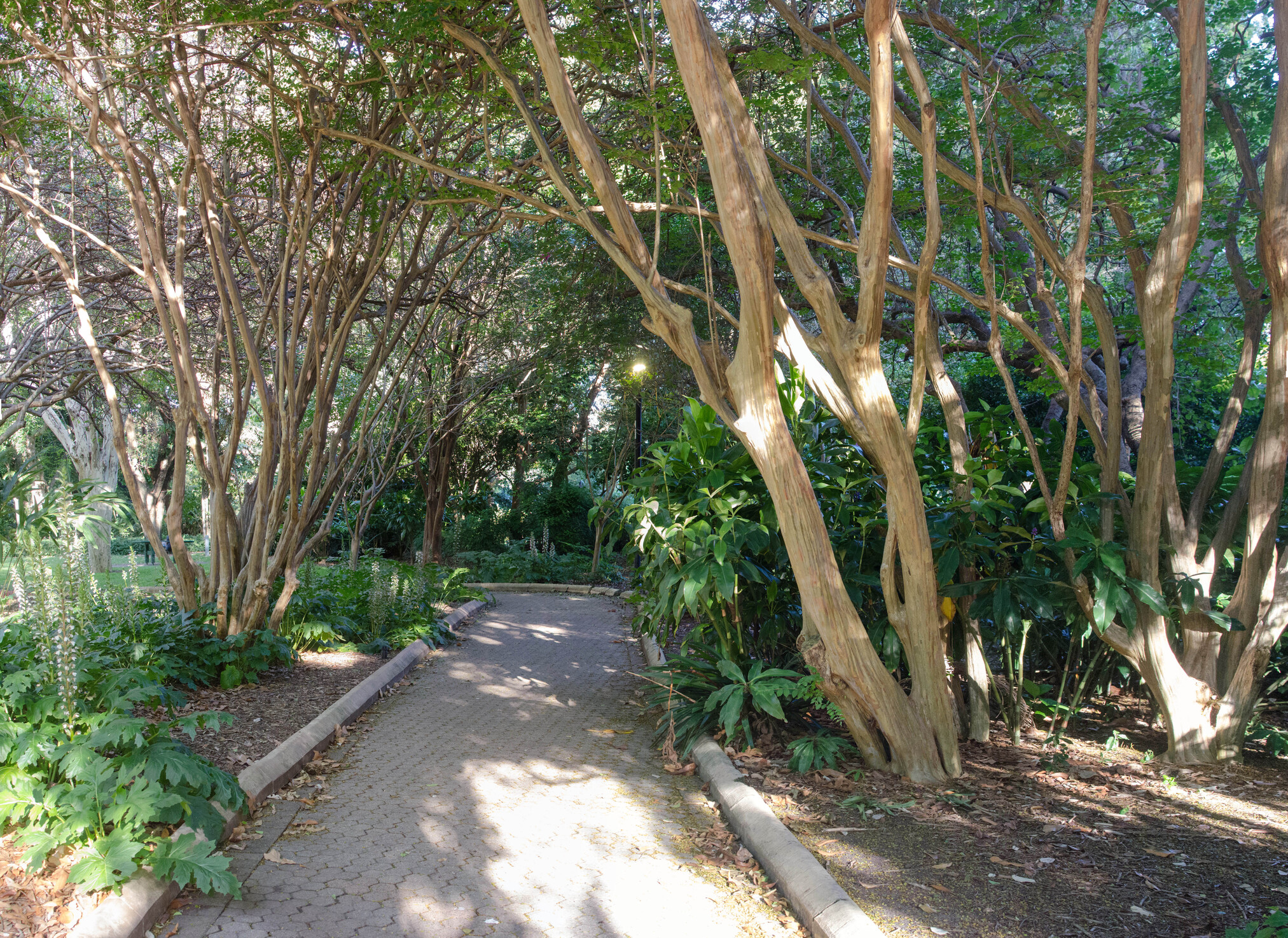 010-botanic_gardens_Panorama2-th.jpg