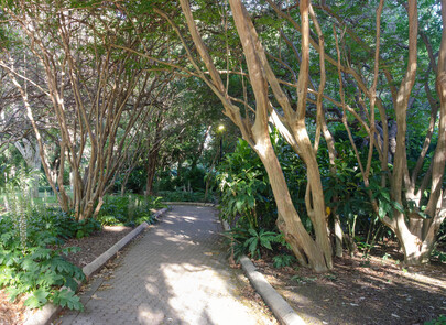 010-botanic_gardens_Panorama2-th.jpg