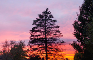 sunset_Panorama1-th.jpg