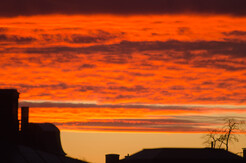 104-DSC_0776-th.jpg